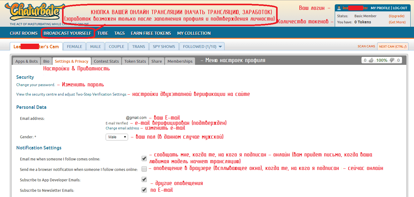 Настройки трансляции в Chaturbate